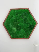 Hexagon Mechový Obraz s Kopečkovým mechem