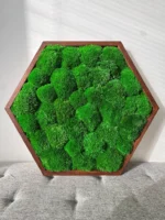 Hexagon Mechový Obraz s Kopečkovým mechem