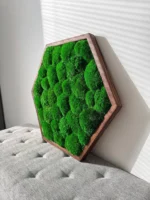 Hexagon Mechový Obraz s Kopečkovým mechem