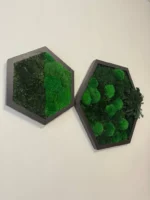 Hexagon Mechový Obraz s Kulatým a Sobím Mechem