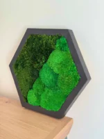 Hexagon Mechový Obraz s Kulatým a Sobím Mechem