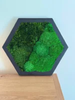 Hexagon Mechový Obraz s Kulatým a Sobím Mechem