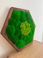 Hexagon - Mechový obraz s kopečkovým a sobím mechem