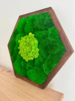 Hexagon - Mechový obraz s kopečkovým a sobím mechem