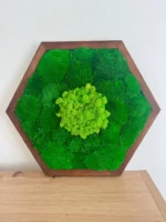 Hexagon - Mechový obraz s kopečkovým a sobím mechem