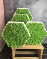 Mechový Hexagon Obraz s Sobí Mechem