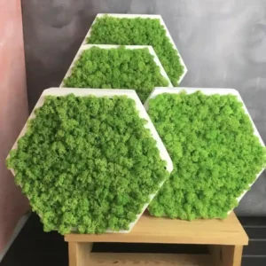 Mechový Hexagon Obraz s Sobí Mechem