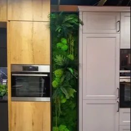 Design Mechová stěna - Džungle