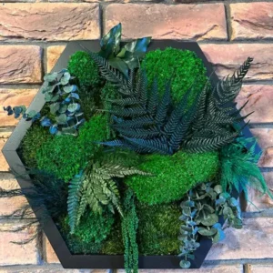 Hexagonální živý obraz z mechu – Rostlinná dekorace