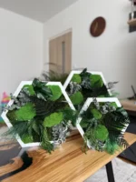 Hexagonální živý obraz z mechu – Jedinečná rostlinná kompozice