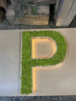 Dřevěná písmena s LED osvětlením a mechem