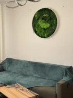 Mechový obraz kulatý s mechem a kapradím