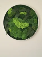 Mechový obraz kulatý s mechem a kapradím