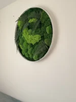 Mechový obraz kulatý s mechem a kapradím