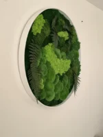 Mechový obraz kulatý s mechem a kapradím