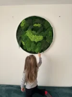 Mechový obraz kulatý s mechem a kapradím