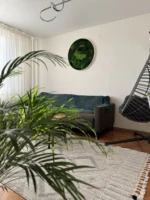 Mechový obraz kulatý s mechem a kapradím