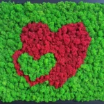 Dekorace z mechu – Dvě srdce