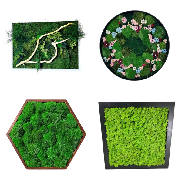 Moss art COLLAGE_result Mechové obrazy na míru