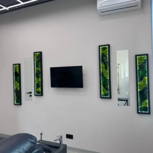 Sada mechových obrazů a zrcadlo