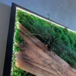 Mechový obraz s dřevěnými akcenty a rostlinami – moderní LED nástěnný obraz
