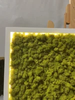 Obraz z mechu s islandským mechem a LED osvětlením