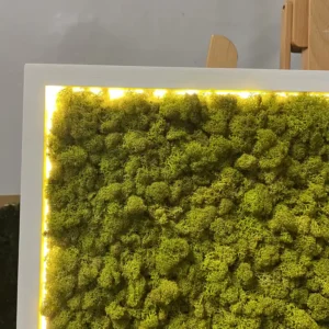 Obraz z mechu s islandským mechem a LED osvětlením