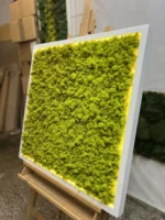 Obraz z mechu s islandským mechem a LED osvětlením