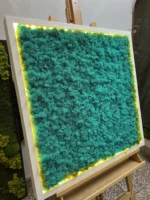 Obraz z mechu s islandským mechem a LED osvětlením