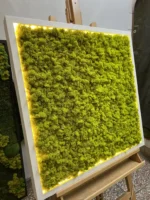 Obraz z mechu s islandským mechem a LED osvětlením