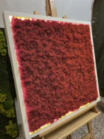 Obraz z mechu s islandským mechem a LED osvětlením