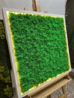 Obraz z mechu s islandským mechem a LED osvětlením