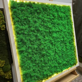 Obraz z mechu s islandským mechem a LED osvětlením