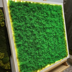 Obraz z mechu s islandským mechem a LED osvětlením