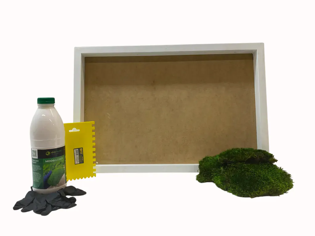 Moss ART Set – Provence Moos result 1