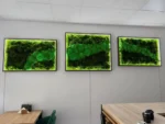 Sada obrazů z mechu s osvětlením