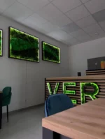 Sada obrazů z mechu s osvětlením