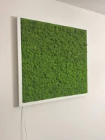 Obraz z mechu s islandským mechem a LED osvětlením