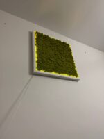 Obraz z mechu s islandským mechem a LED osvětlením