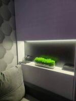 Mech ve skle s bílými kameny – Lesní geometrie
