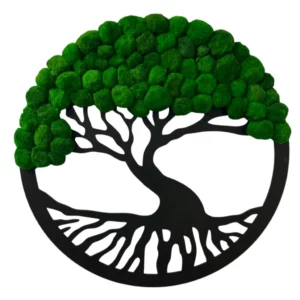 Mechové dřevo s kuličkami Cladophory