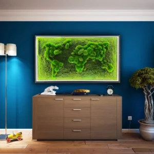 3D Weltkarte Beleuchtet und Kugelmoos Flachmoos