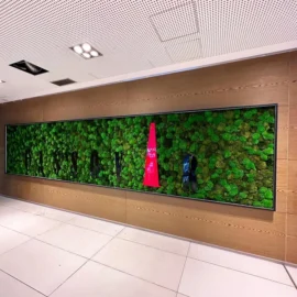 Mechová stěna s logem pro firemní design - Mix mechů s písmeny