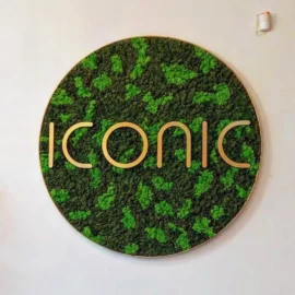 Mechová stěna s logem pro firemní design - Design se dvěma barvami lišejníku s logem v barvě