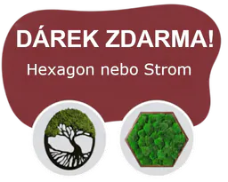 Акція
