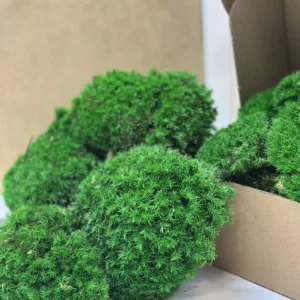 Sada pro vlastní výrobu mechového obrazu – kuličkový mech