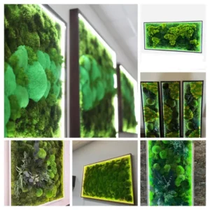 Podsvícený mechový obraz na míru