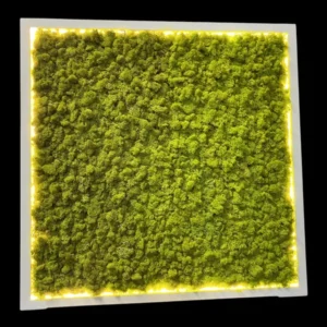 Podsvícený mechový obraz na míru