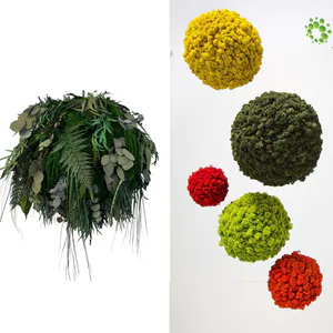 category products - Dekorativní koule z mechu