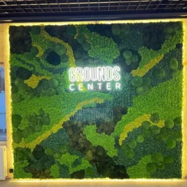 Mechová stěna s logem pro firemní design - Mechová směs s neonovými písmeny